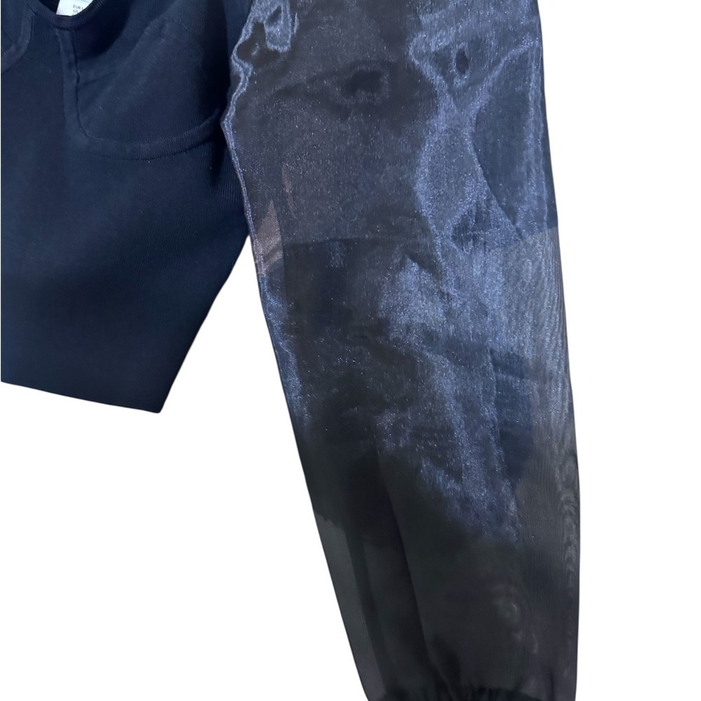 H&M Black Top with Sheer Sleeves - Picture 5 of 6